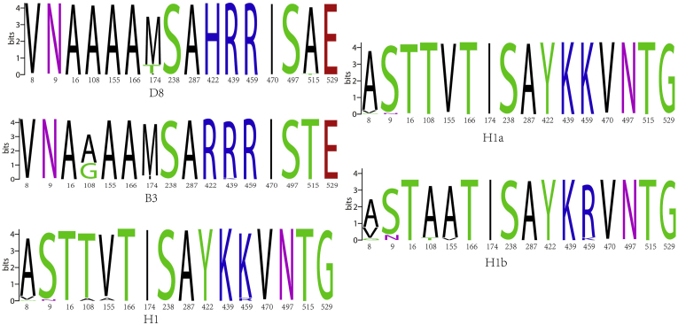 Figure 4