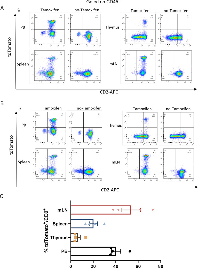 Figure 2