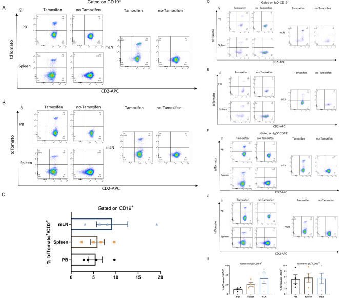 Figure 4