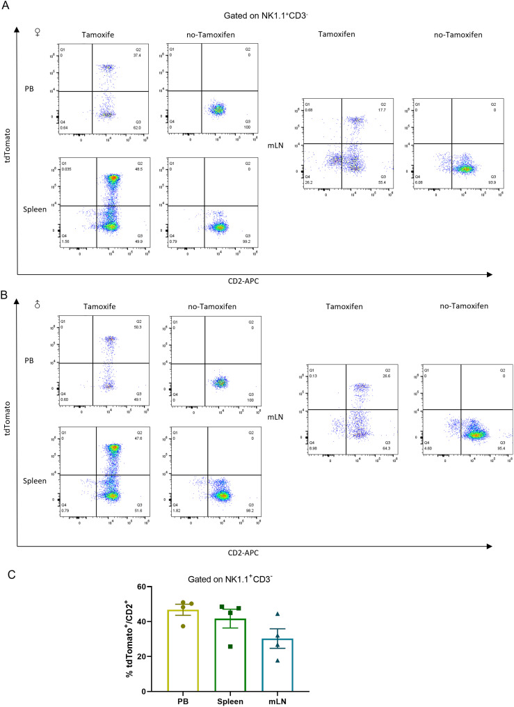 Figure 5