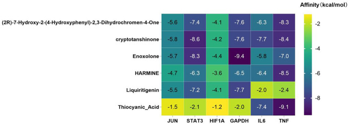 FIGURE 10
