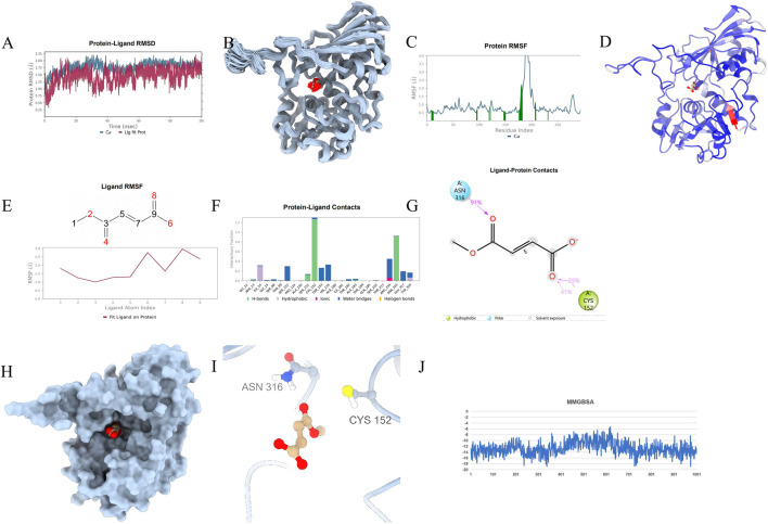 FIGURE 11