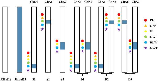 Figure 3
