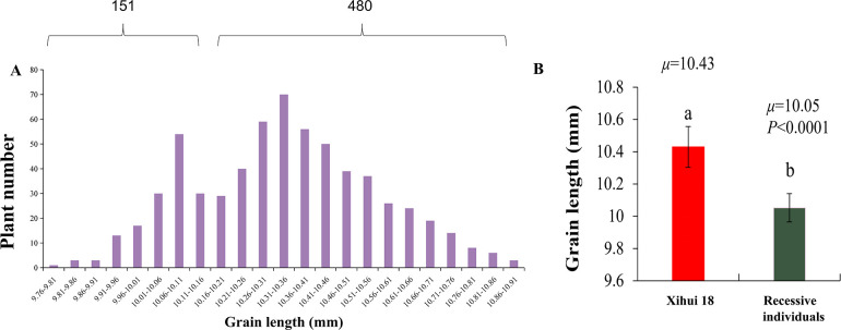 Figure 5