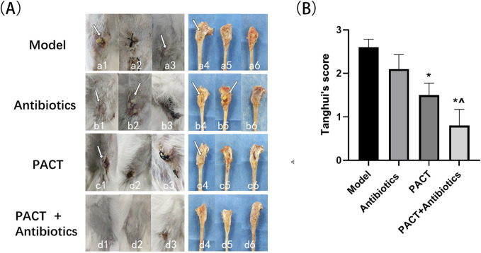FIGURE 3
