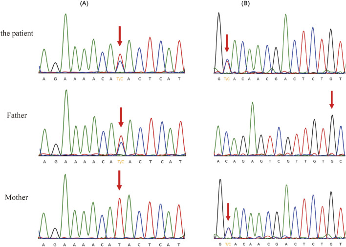 FIGURE 1