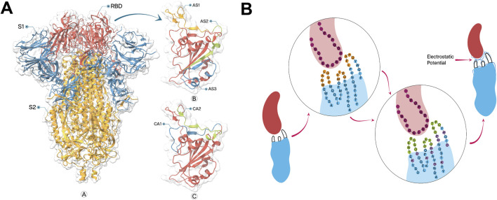 FIGURE 1