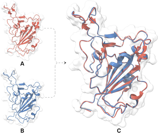 FIGURE 2