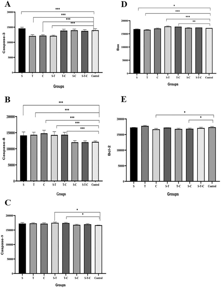 FIGURE 3