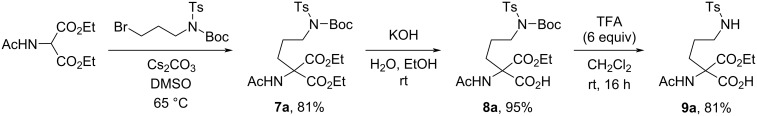 Scheme 1