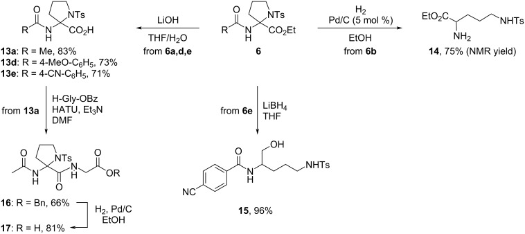 Scheme 4