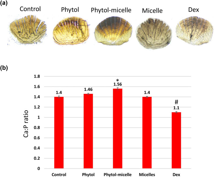 Figure 5