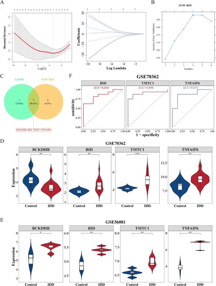 FIGURE 4