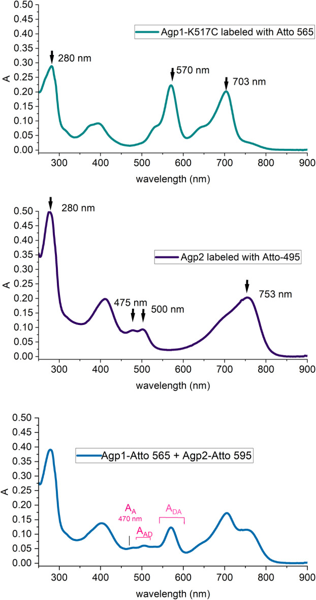 Fig. 2