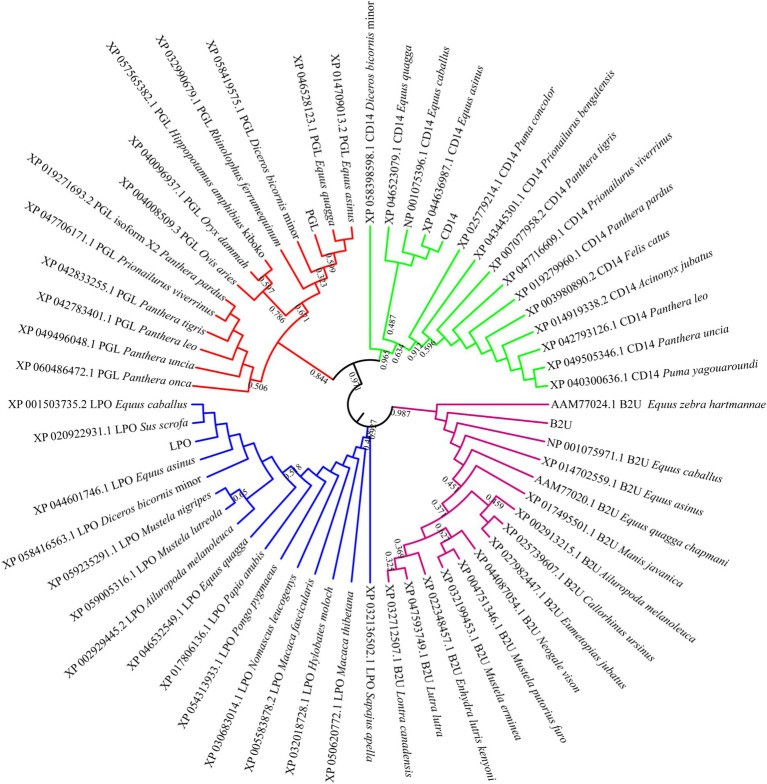 Figure 6