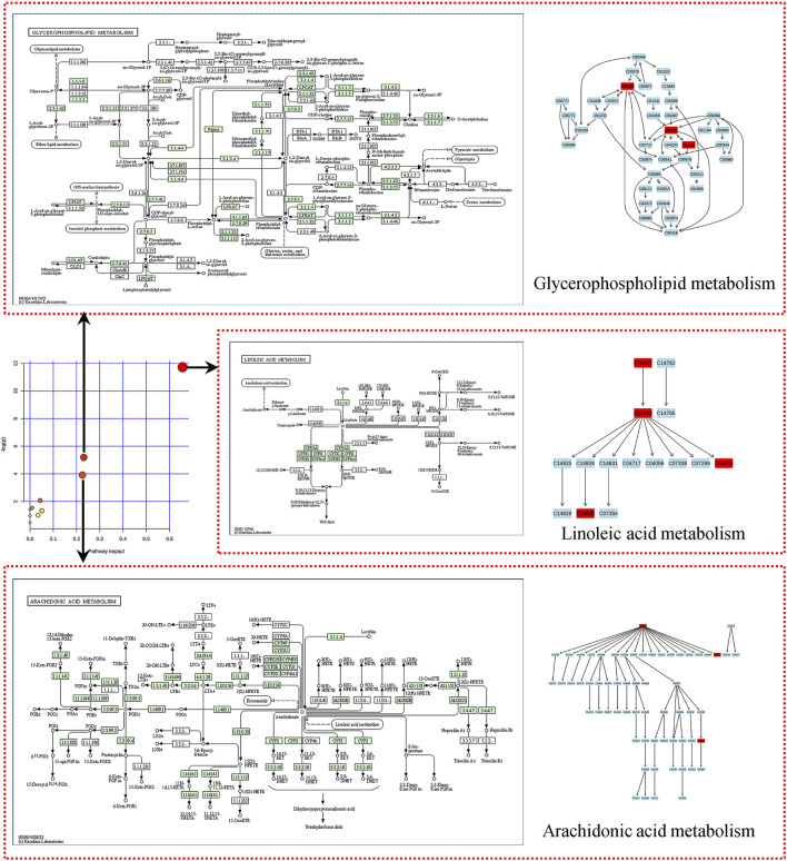 FIGURE 10