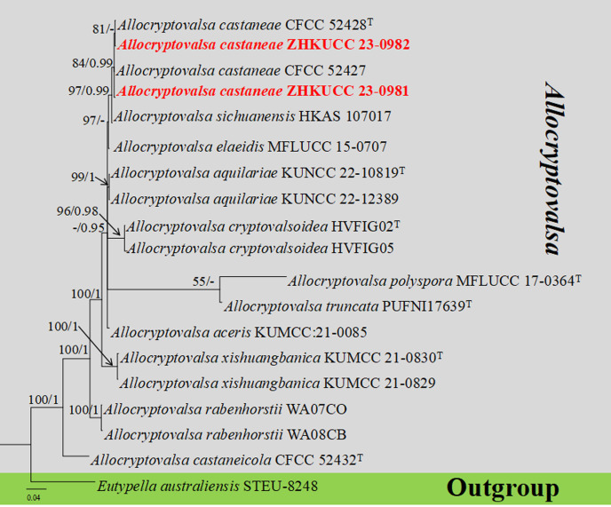 Figure 2