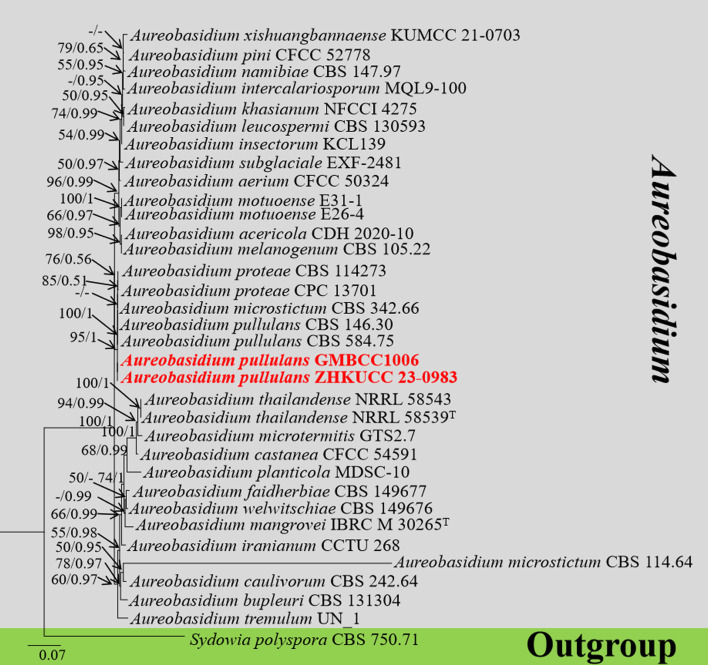 Figure 3