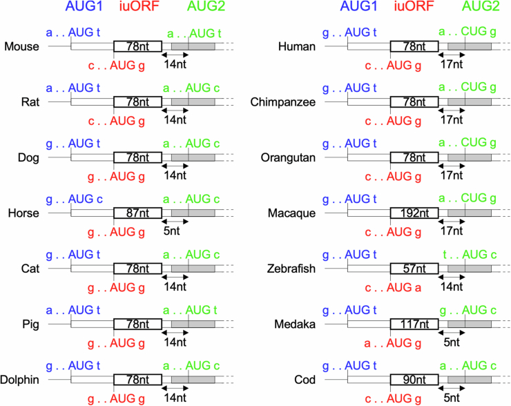 Figure 13