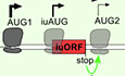 Figure 15