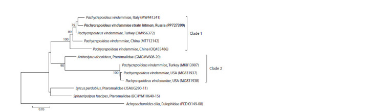 Figure 2