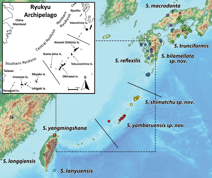 Figure 13
