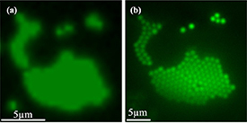 Figure 18