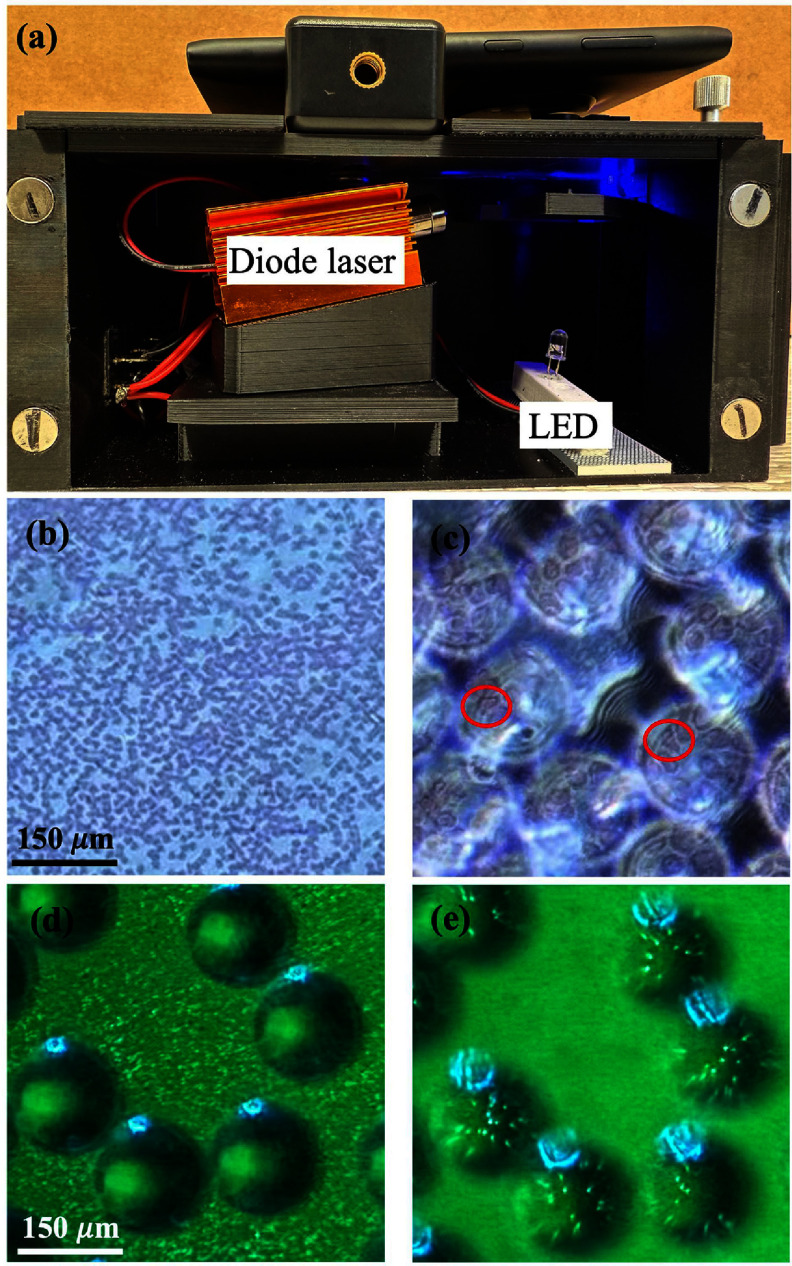 Figure 25