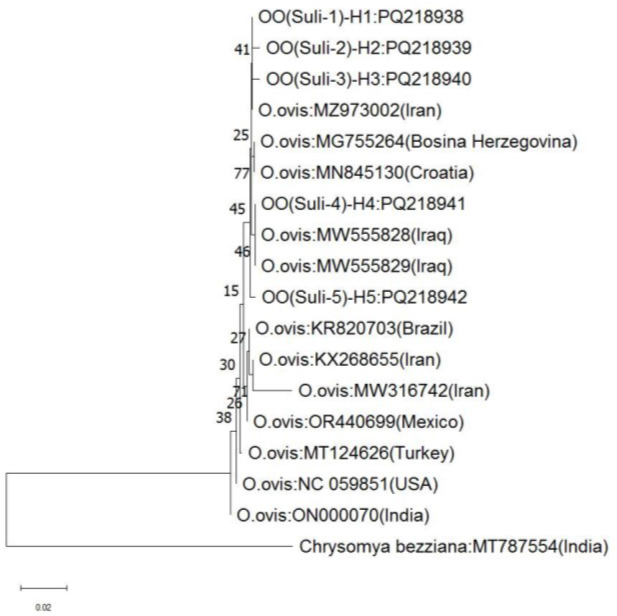 Figure 2