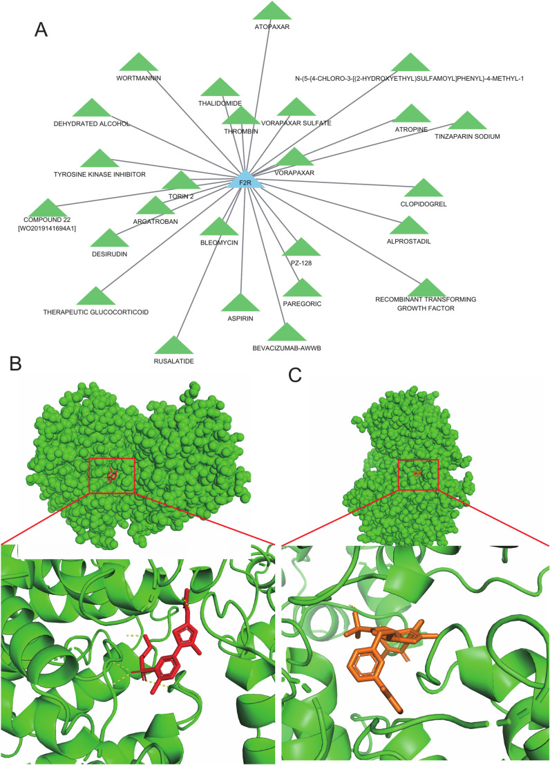 Figure 12