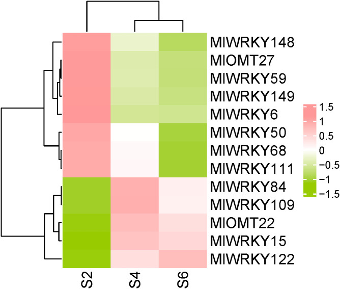 Figure 4