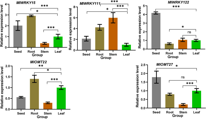 Figure 5