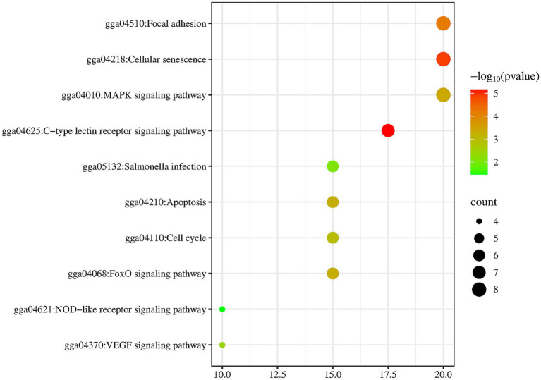 Figure 7