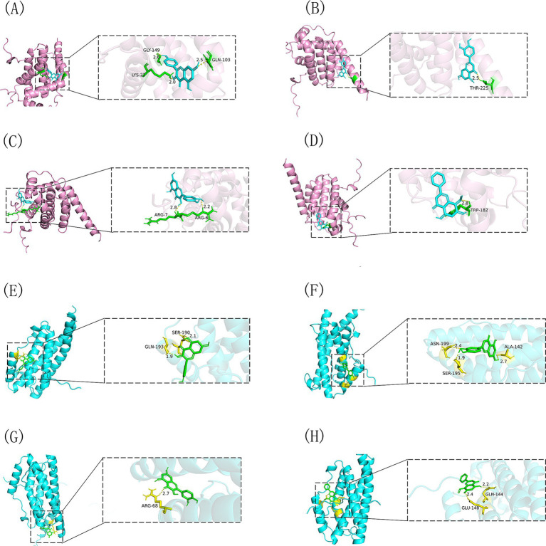 Figure 10