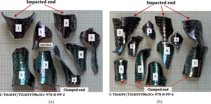 Figure 24