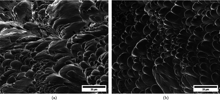 Figure 42