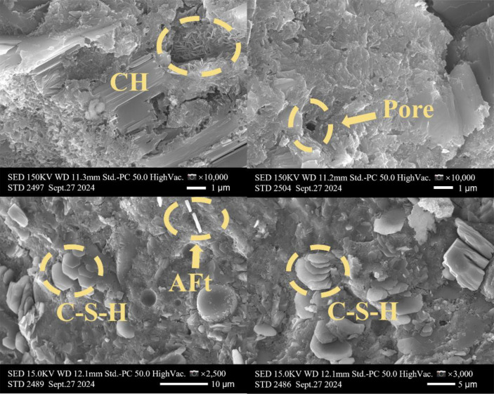 Figure 6
