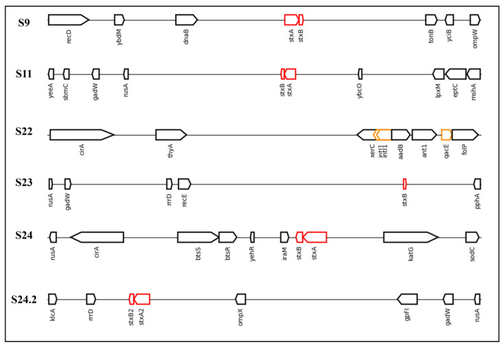 Figure 6