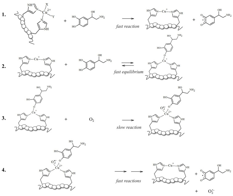 Figure 15