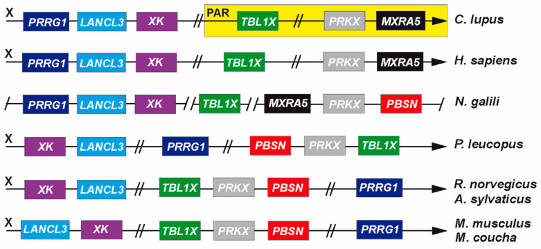 Figure 7