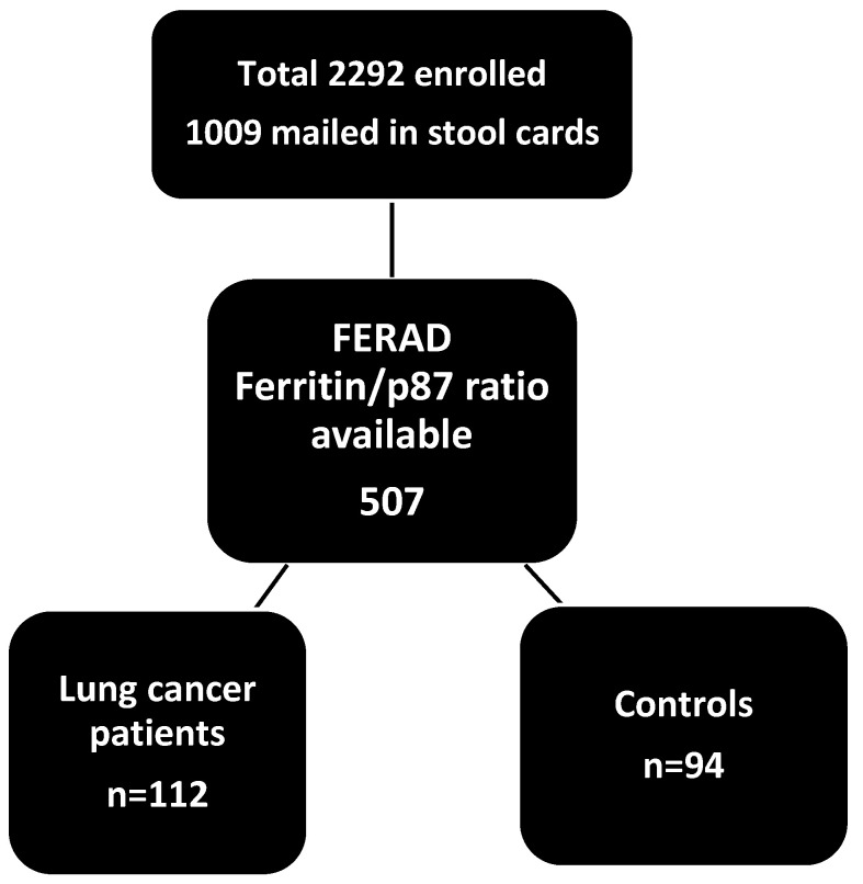 Figure 19