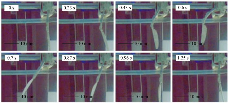 Figure 20