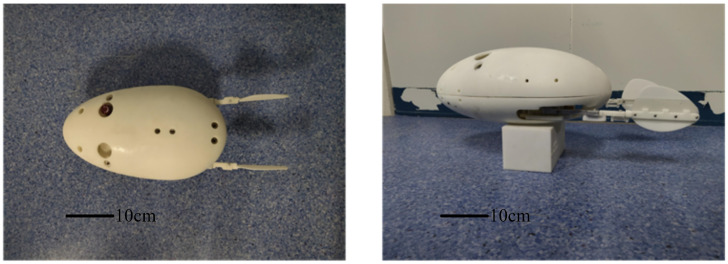 Figure 22