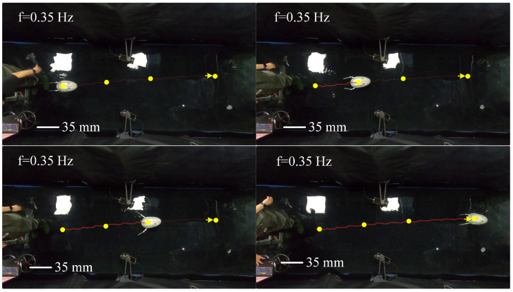 Figure 24