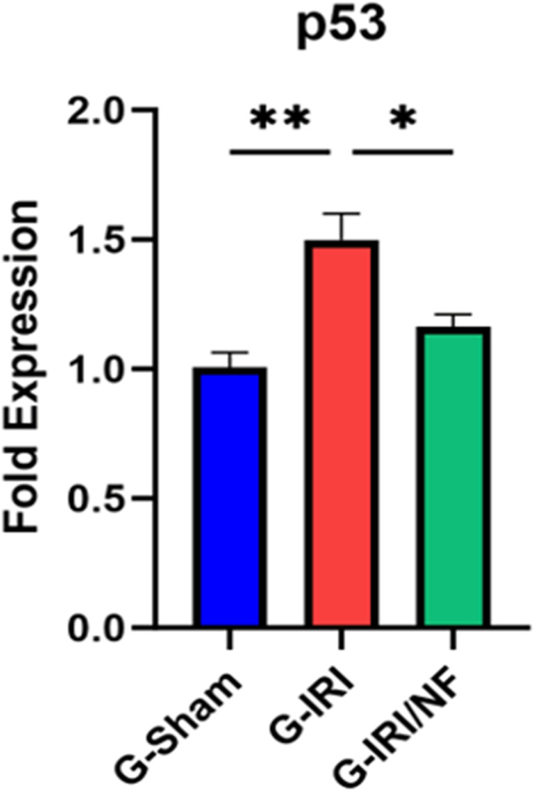 Fig 5