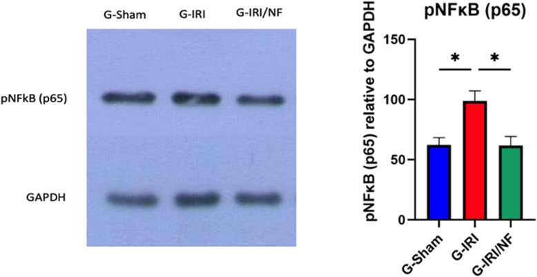 Fig 7