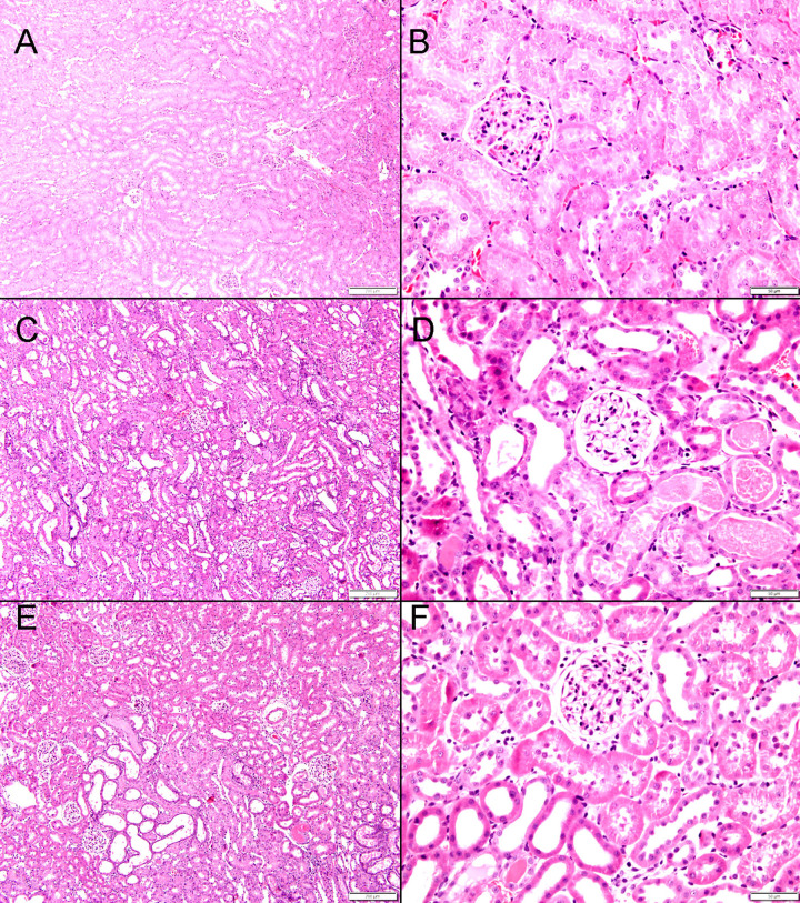 Fig 9