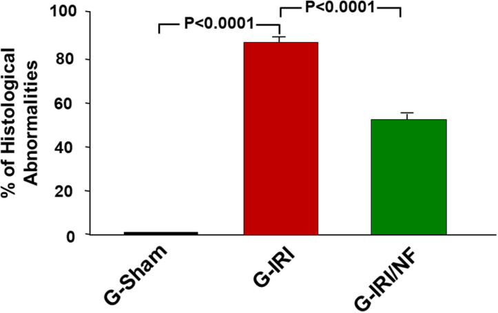 Fig 10