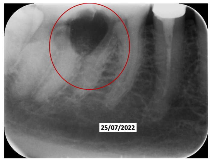 Figure 6
