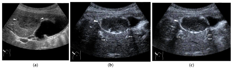 Figure 7